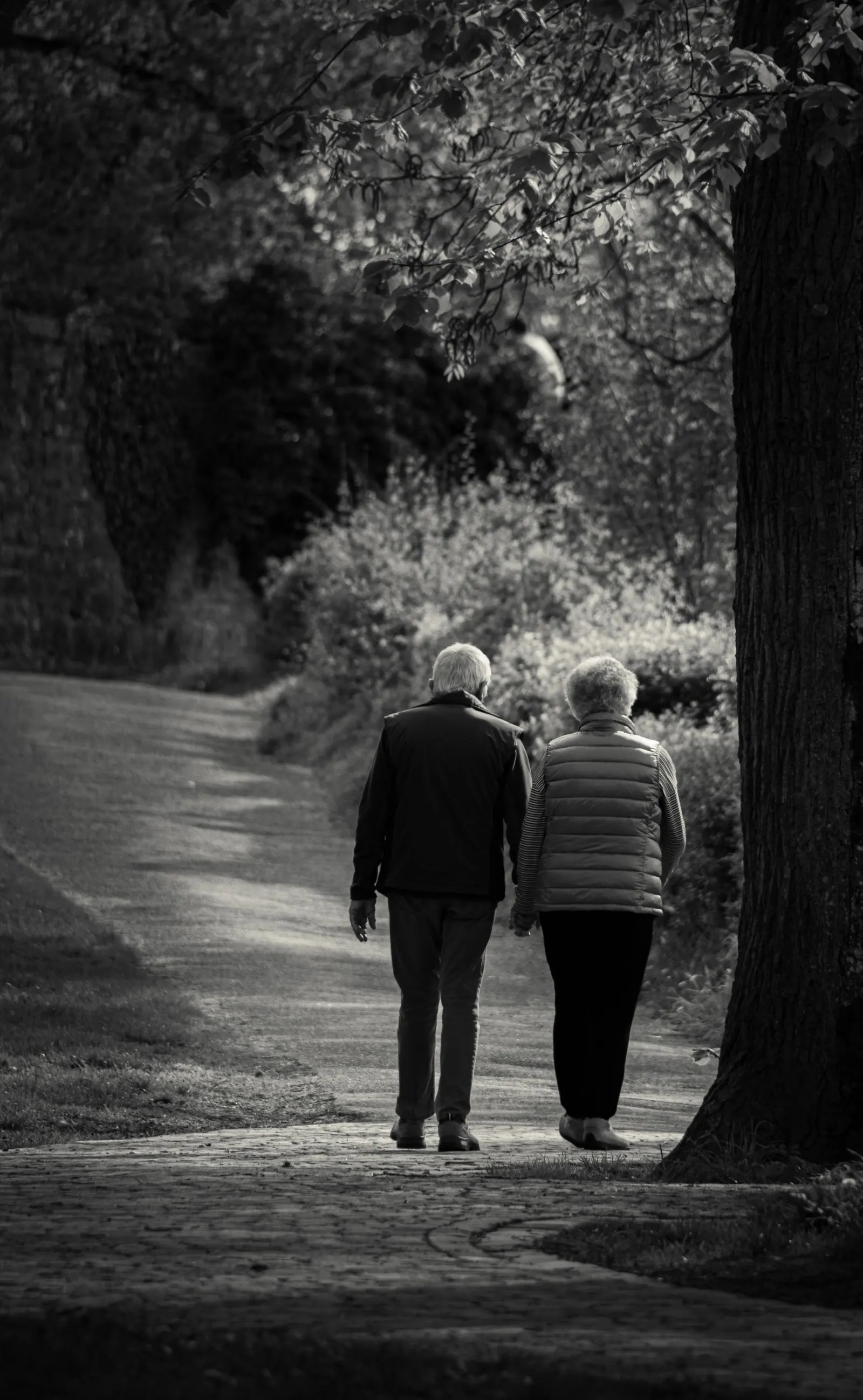A couple walking together along a tree-lined path