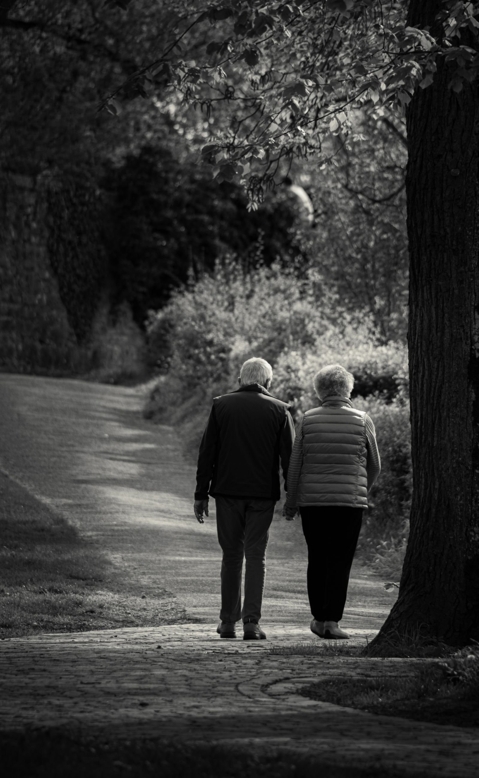 Stock photo: a couple walking together along a tree-lined path, illustrating social outings